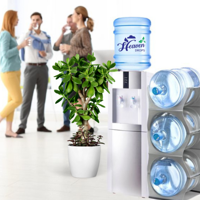 Untitled design (23)